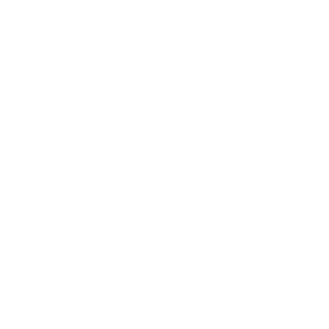 EV Only Text