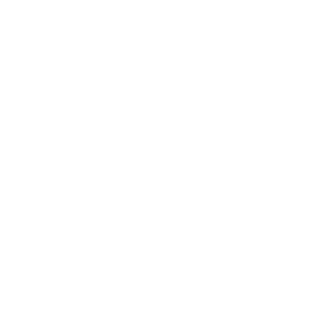 EV TAXIS ONLY