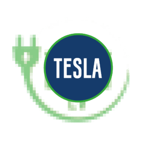 Custom Tesla Car Park Marking