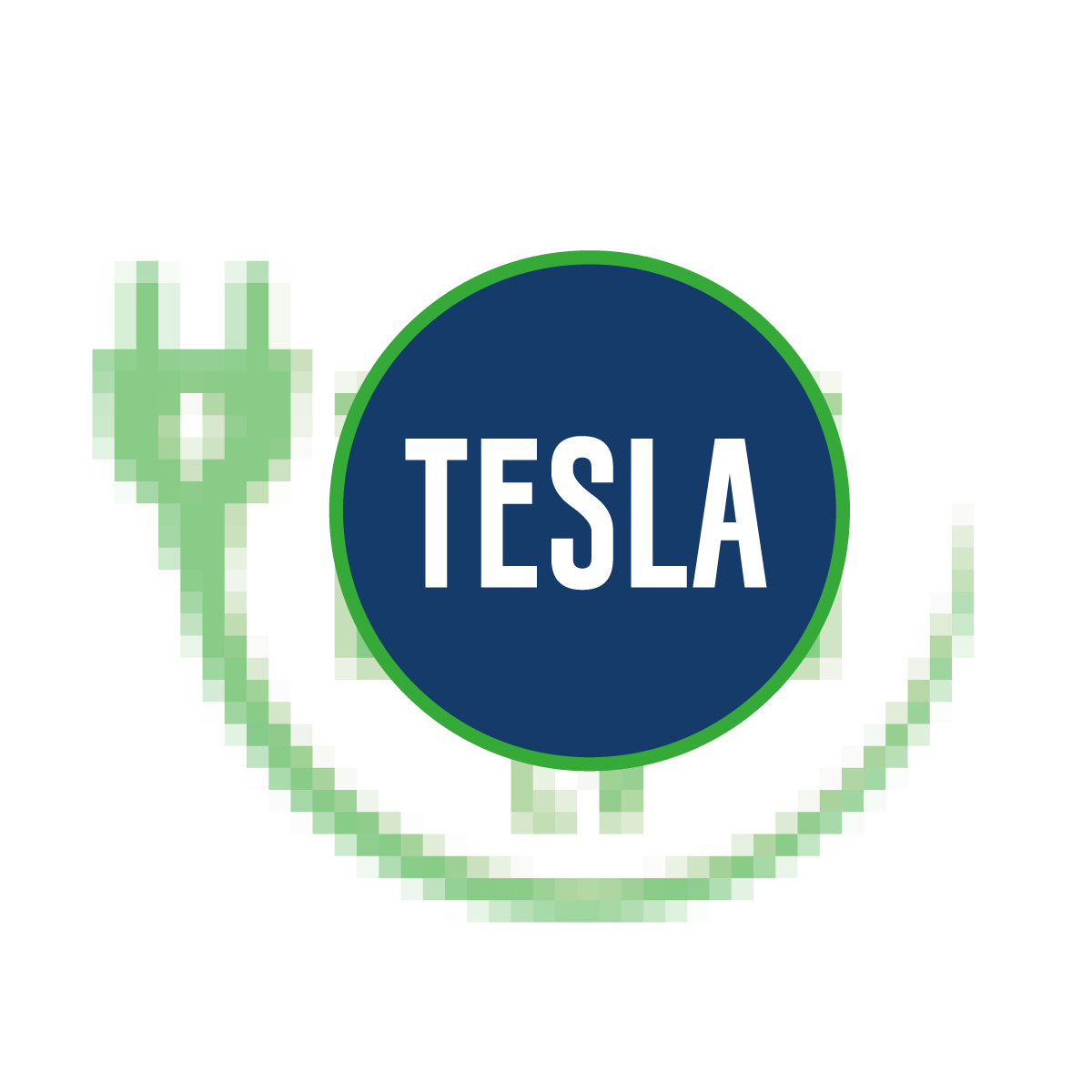 Custom Tesla Car Park Marking